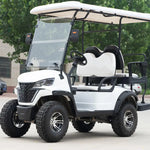 Popular Sale 6 Seats Lifted Electric Off Road Golf Cart Buggy