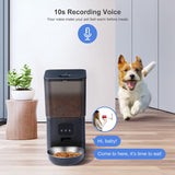 6L Smart WIFI Automatic Pet Feeder APP Control pet Food Dispenser