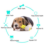 Dog Molar Toothbrush Dog Molar Tooth Stick Puppy Dental Care