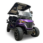 Popular Sale 6 Seats Lifted Electric Off Road Golf Cart Buggy