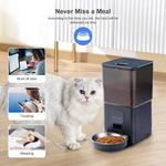 6L Smart WIFI Automatic Pet Feeder APP Control pet Food Dispenser