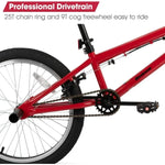 20 inch Freestyle Kids BMX Bike Beginner-Level to Advanced Riders