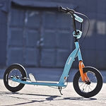 JOYSTAR Kick Scooter for Kids 5+, Lightweight, Adjustable Handlebar 12"