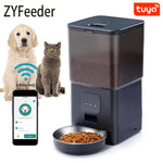 6L Smart WIFI Automatic Pet Feeder APP Control pet Food Dispenser